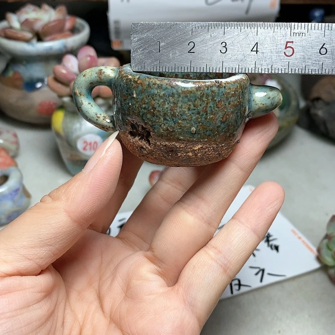 红陶20CM（含）-50CM（不含）