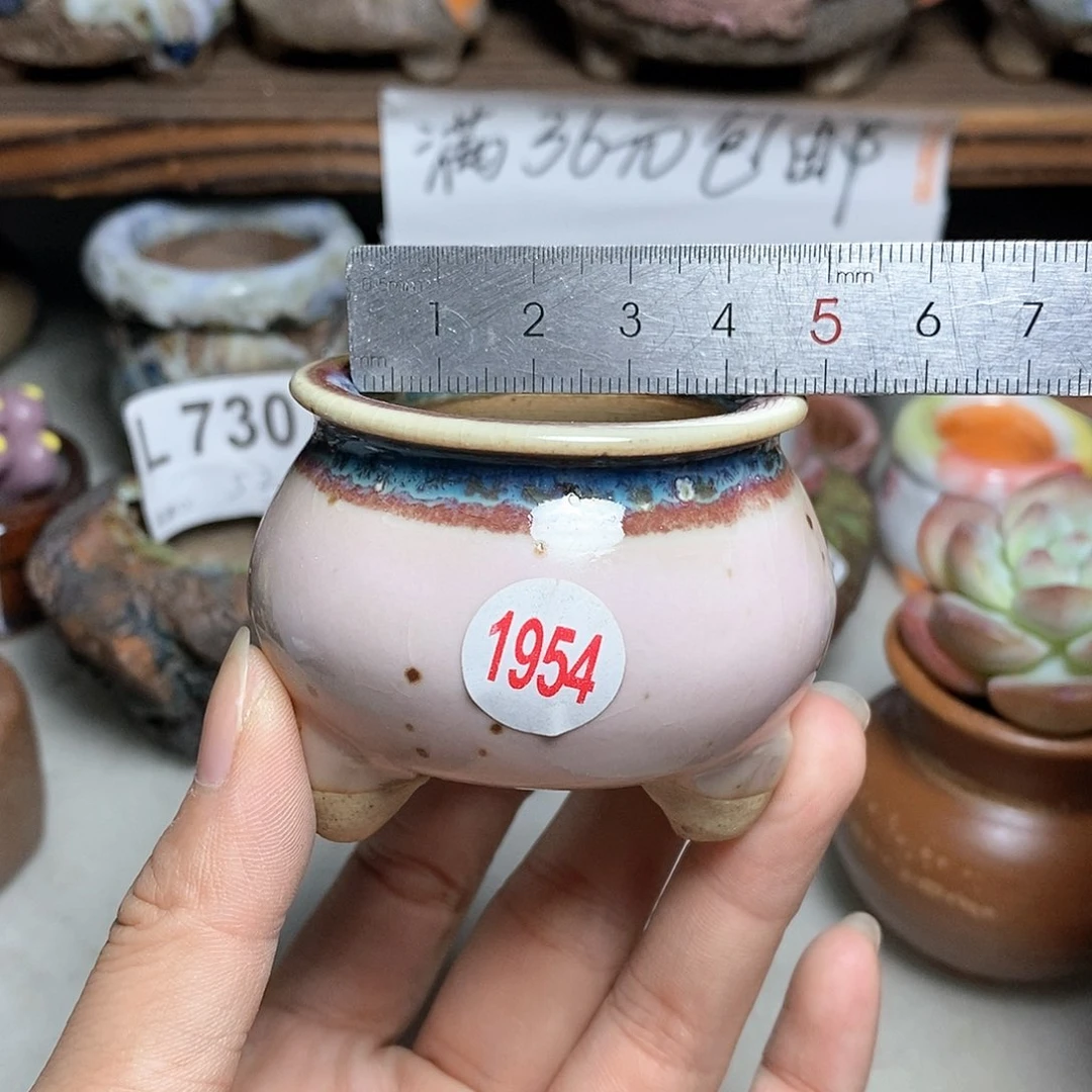 红陶20CM（含）-50CM（不含）