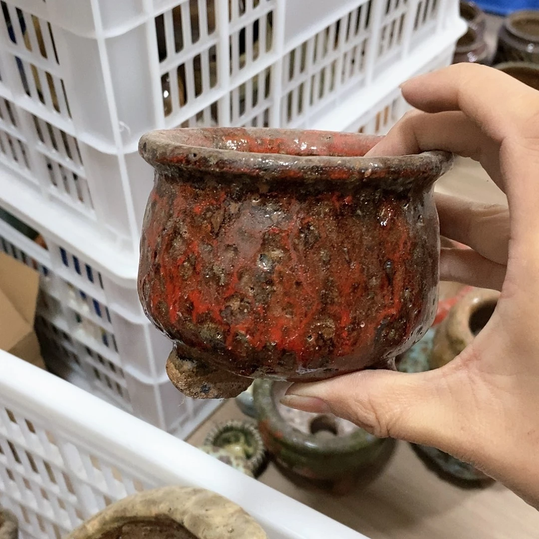 红陶20CM（含）-50CM（不含）处理