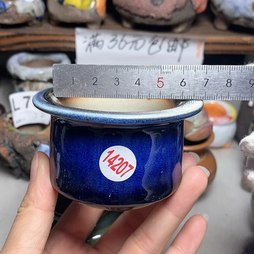 红陶20CM（含）-50CM（不含）
