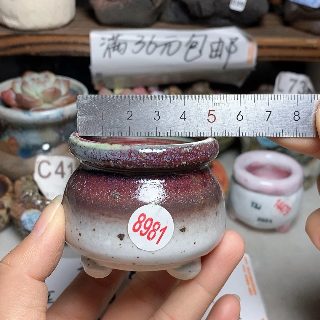 红陶20CM（含）-50CM（不含）