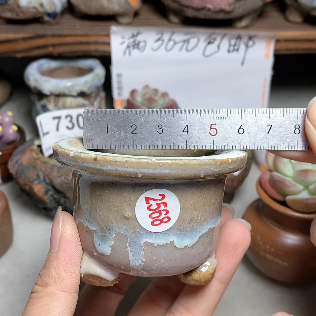 红陶20CM（含）-50CM（不含）