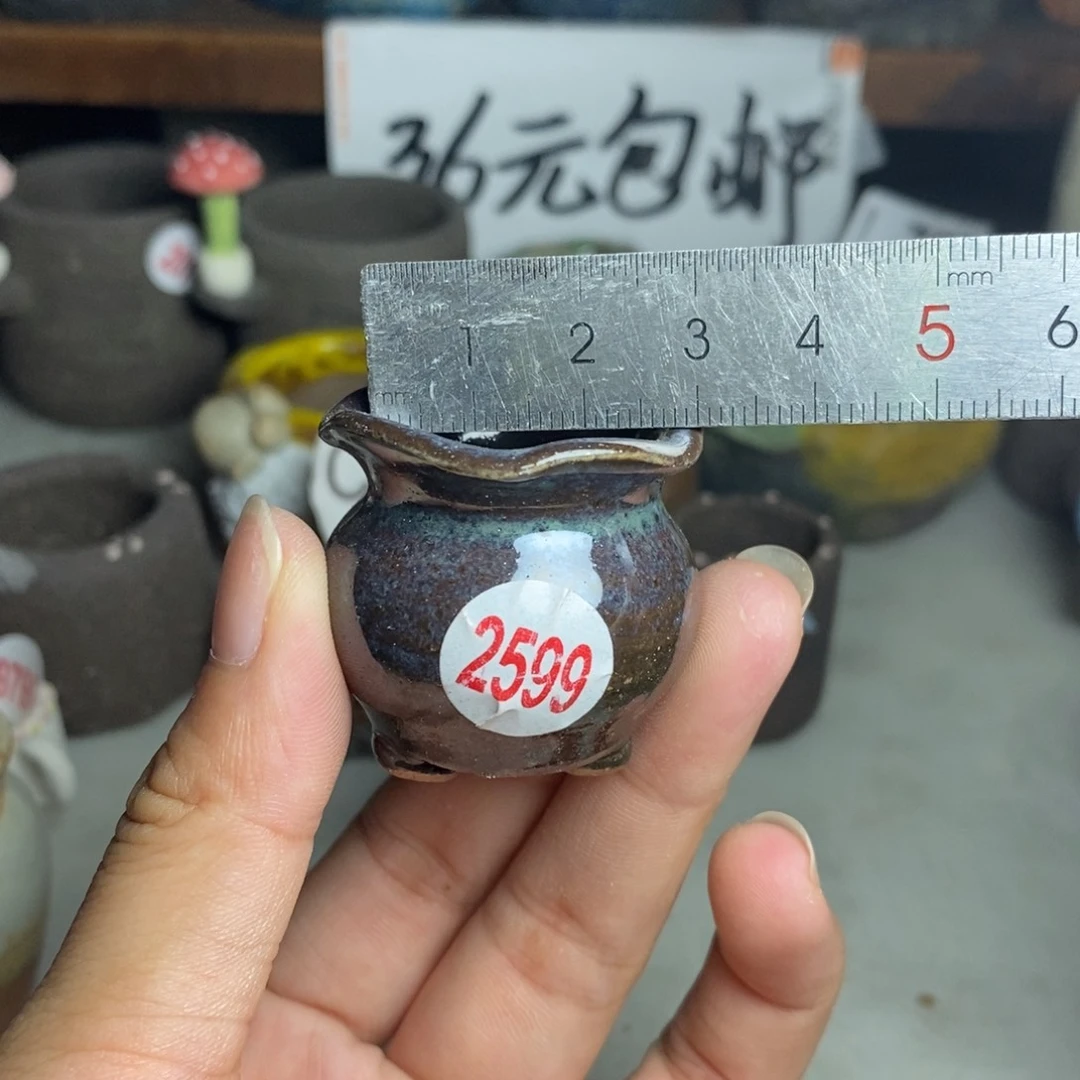 红陶20CM（含）-50CM（不含）
