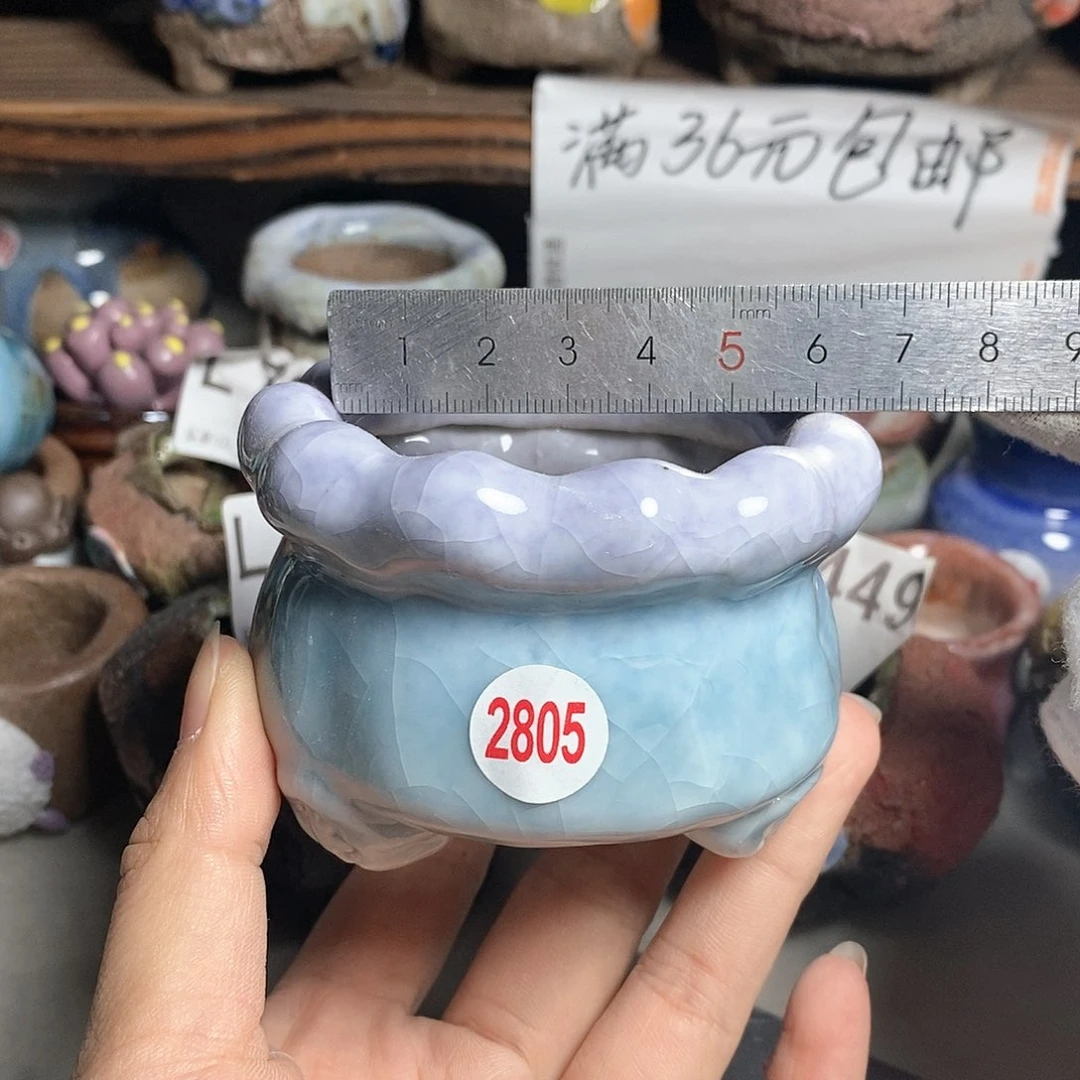 红陶20CM（含）-50CM（不含）