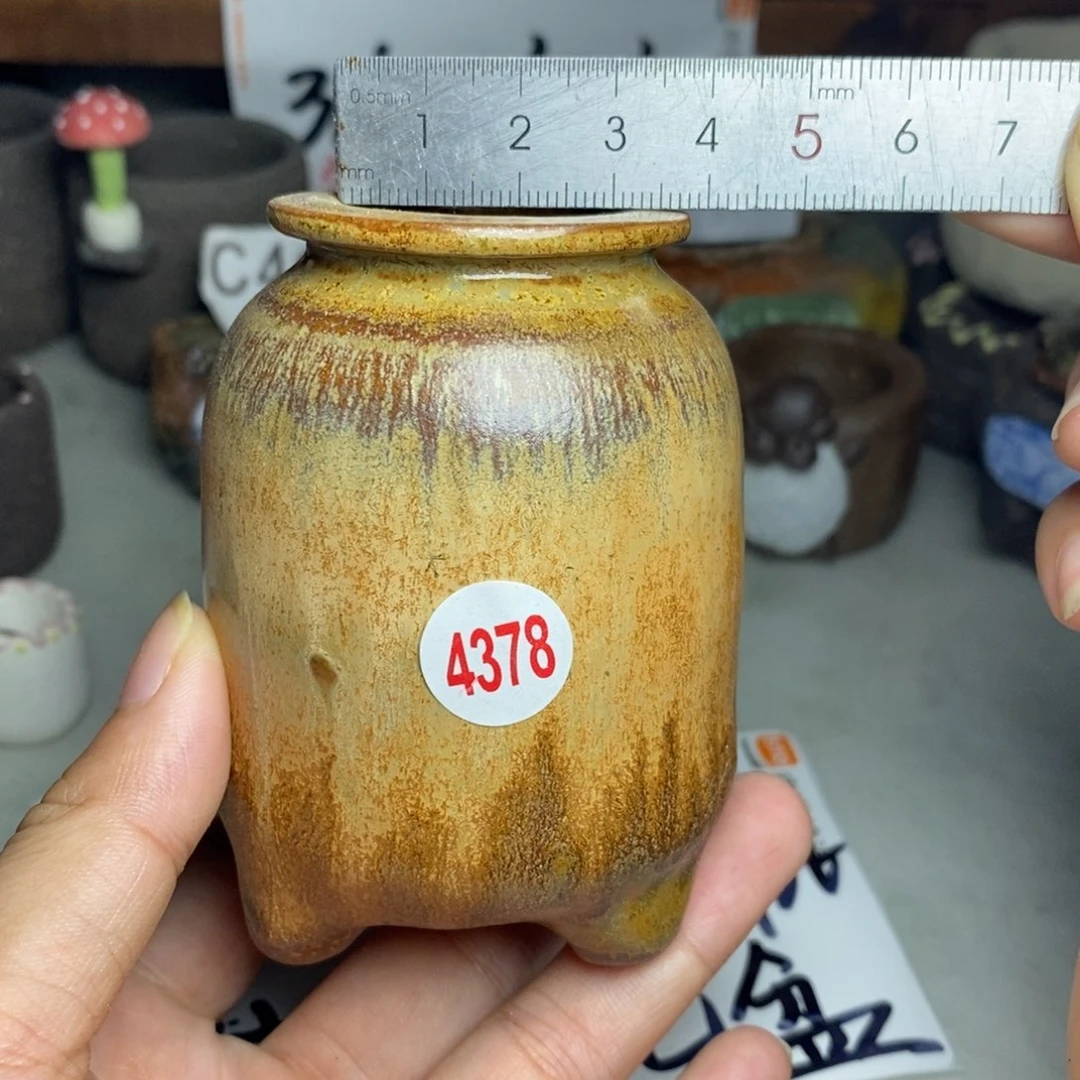 红陶20CM（含）-50CM（不含）