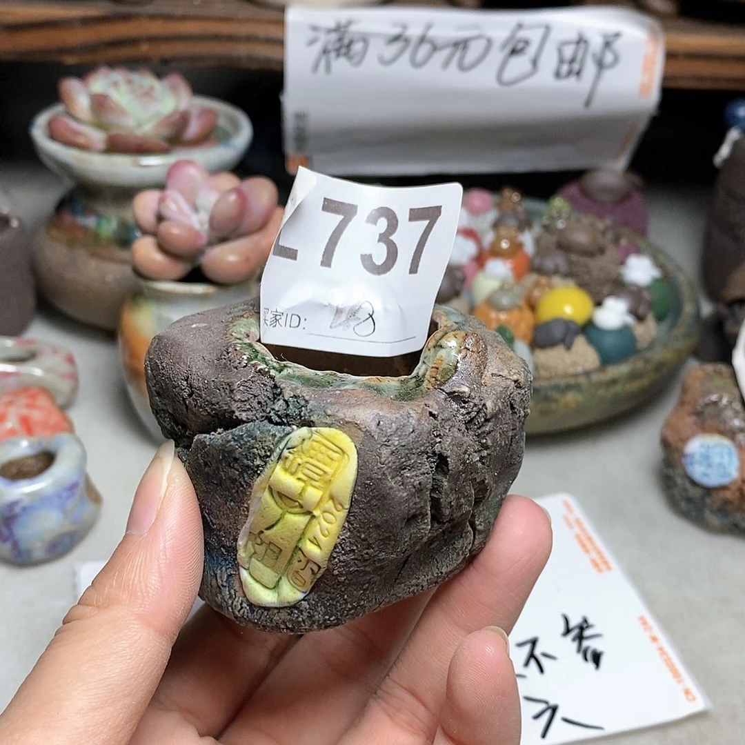 红陶20CM（含）-50CM（不含）
