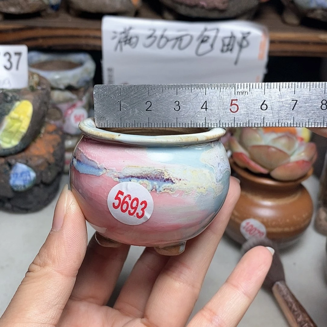 红陶20CM（含）-50CM（不含）