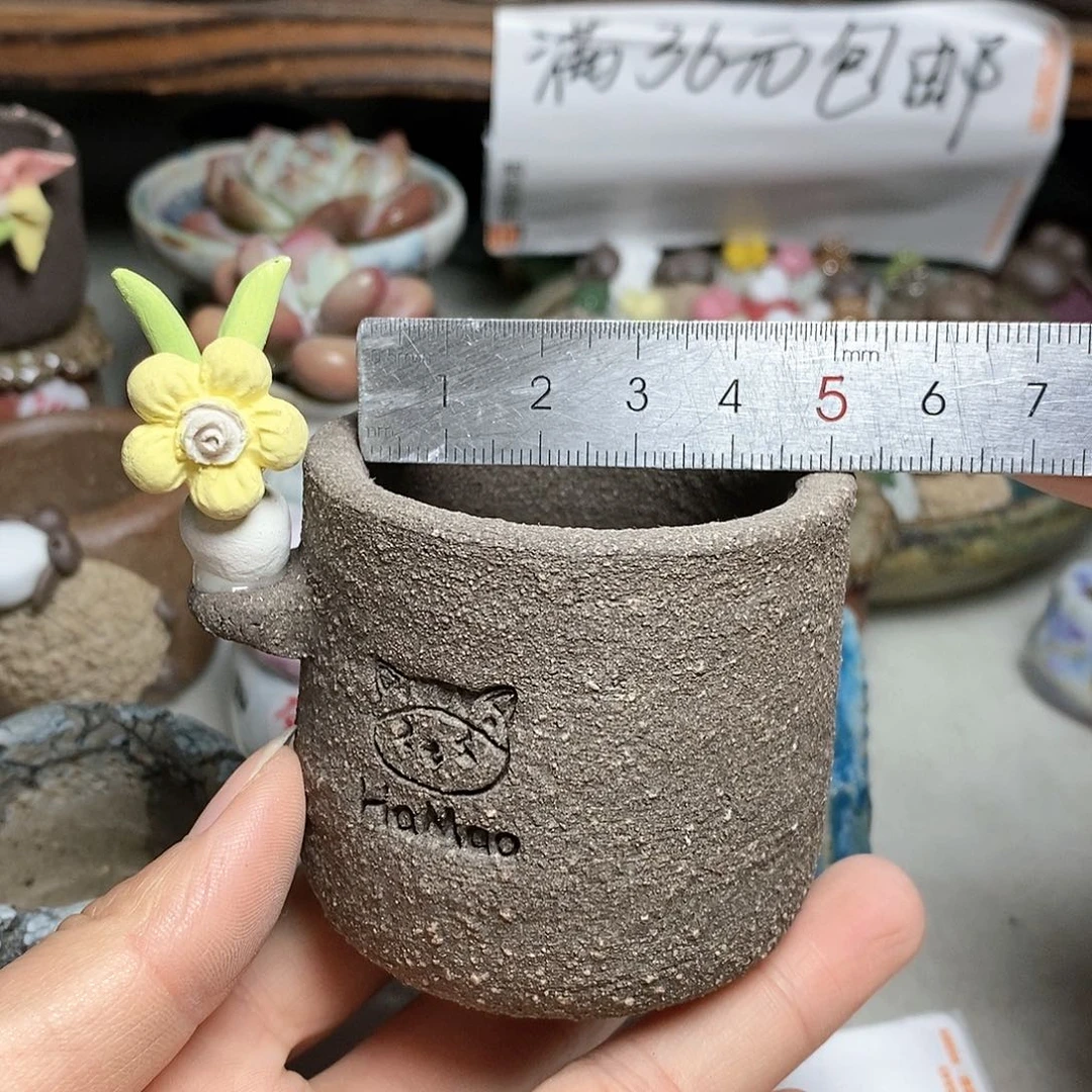 红陶20CM（含）-50CM（不含）