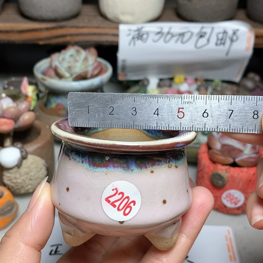 红陶20CM（含）-50CM（不含）