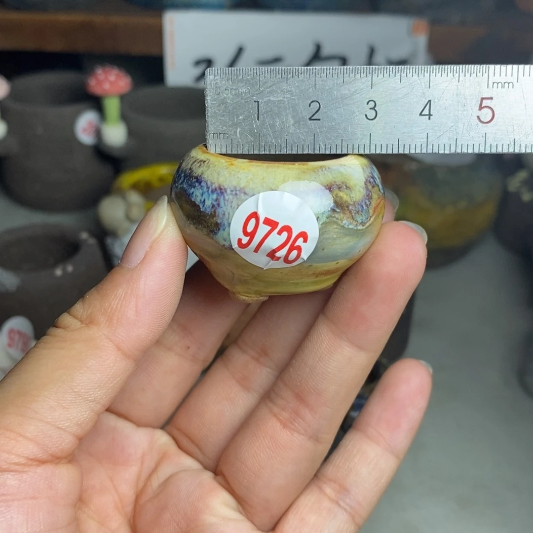 红陶20CM（含）-50CM（不含）