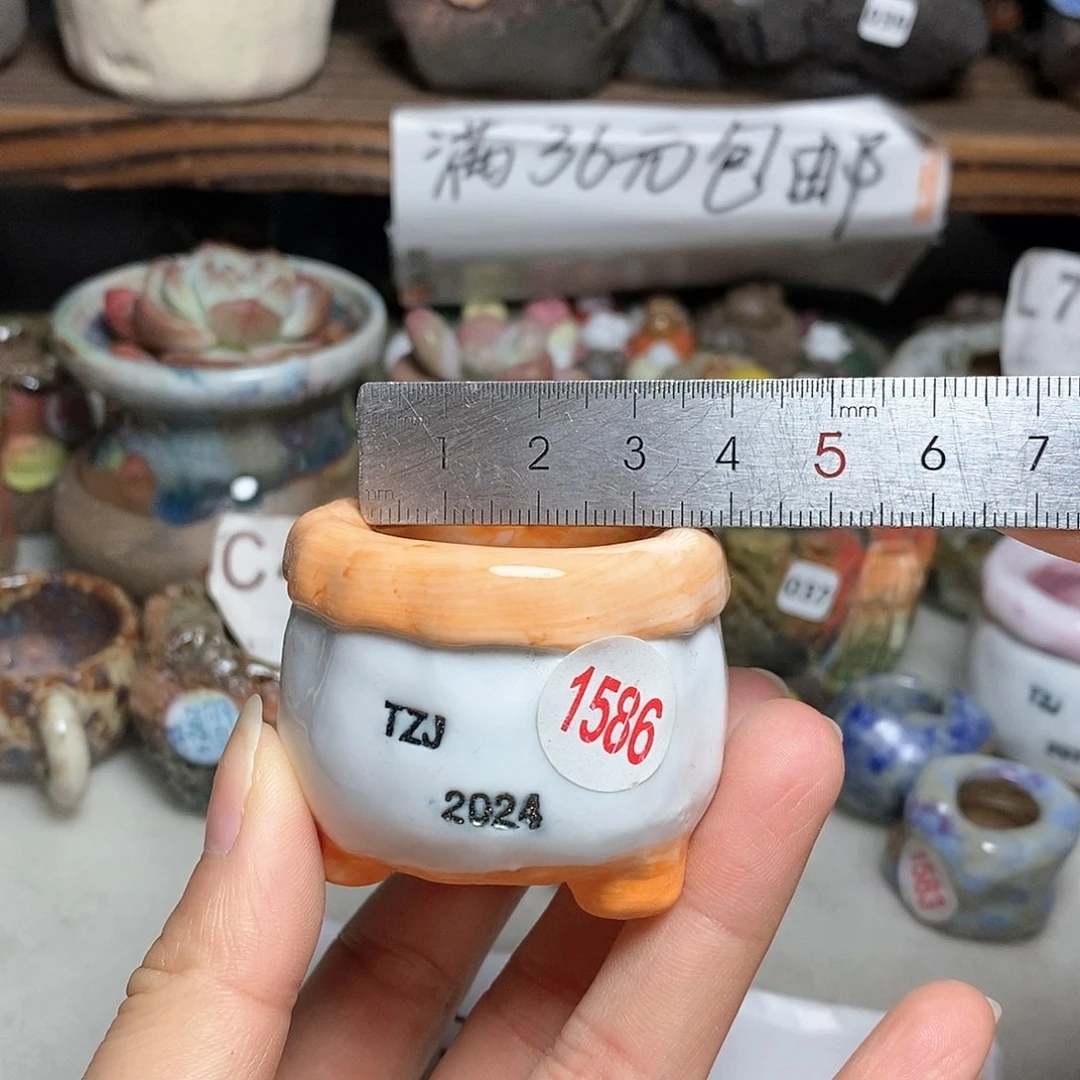 红陶20CM（含）-50CM（不含）