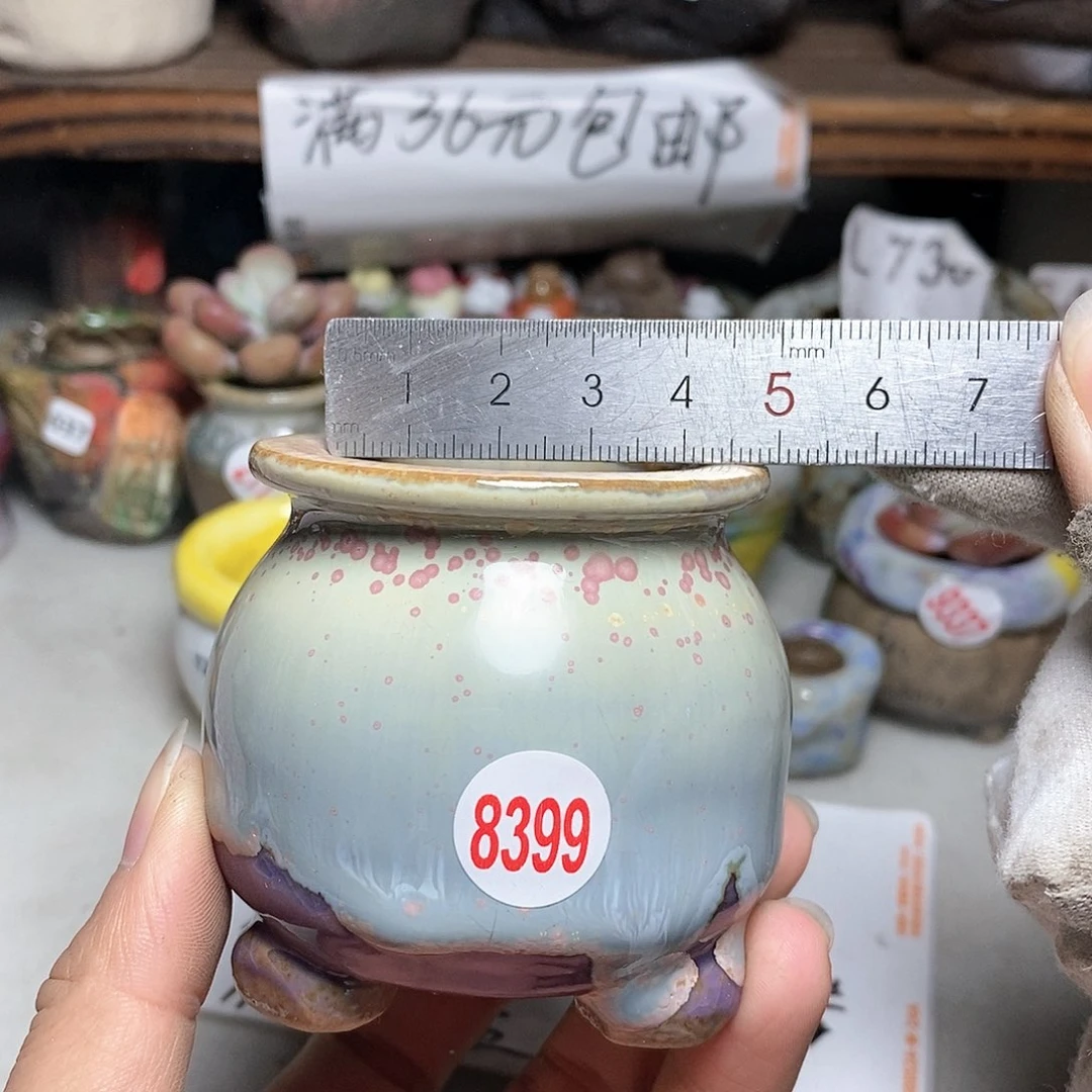 红陶20CM（含）-50CM（不含）