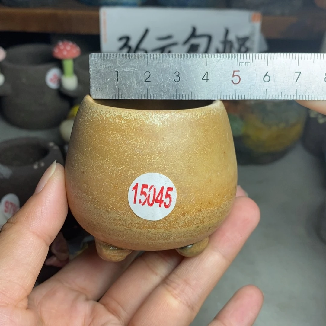 红陶20CM（含）-50CM（不含）