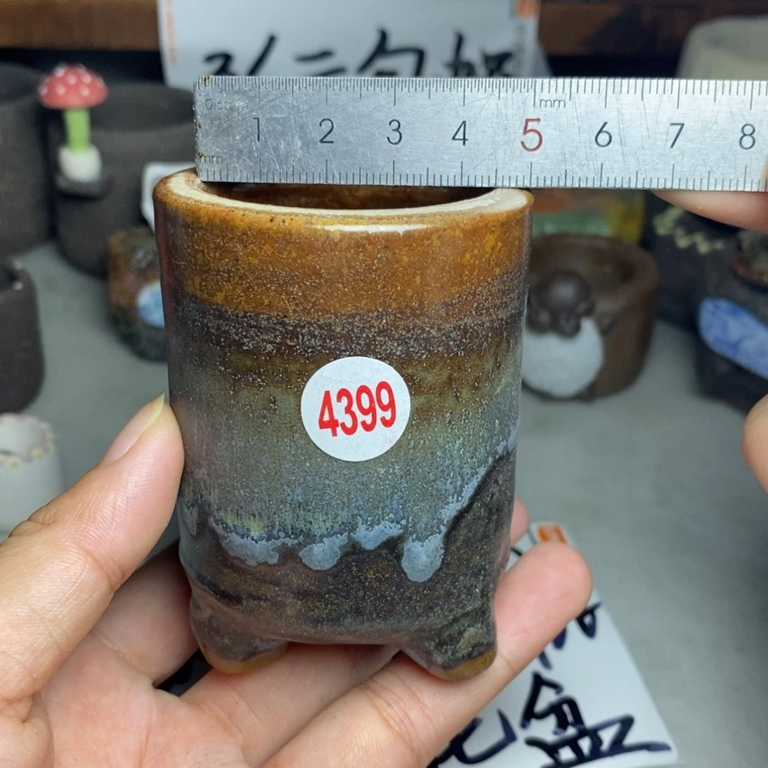 红陶20CM（含）-50CM（不含）