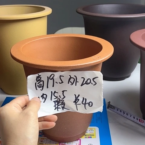 红陶20CM（含）-50CM（不含）