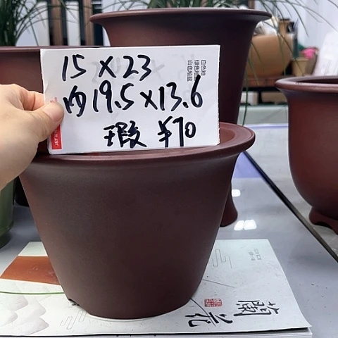 红陶20CM（含）-50CM（不含）林