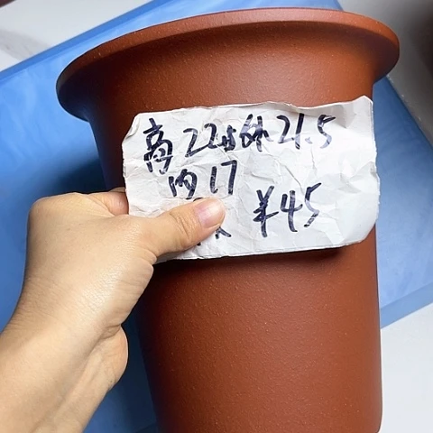 红陶20CM（含）-50CM（不含）