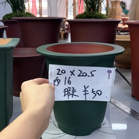 红陶20CM（含）-50CM（不含）香**檬