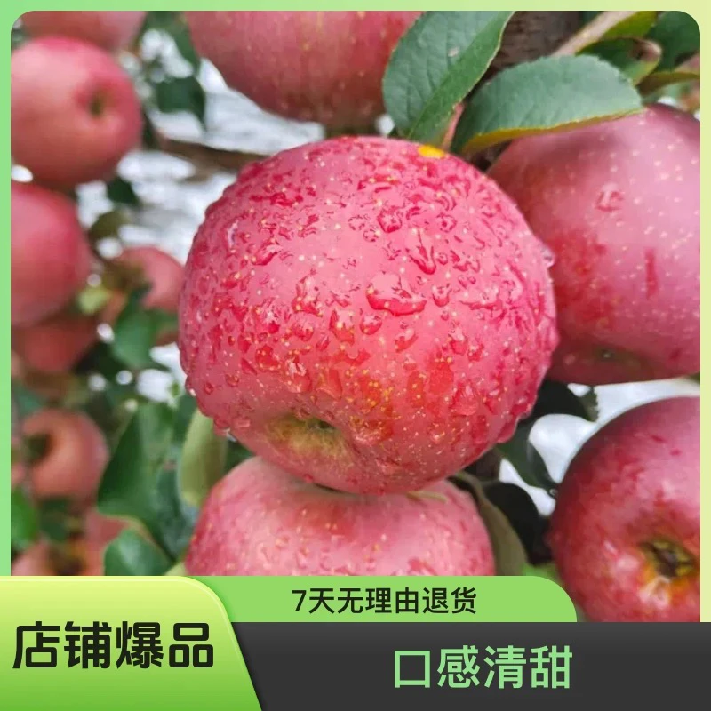云南农家糖心丑苹果