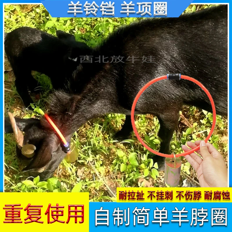 自制羊项圈脖套新款不伤脖防挂刺养殖羔羊用项圈戴颈圈脖套耐腐蚀