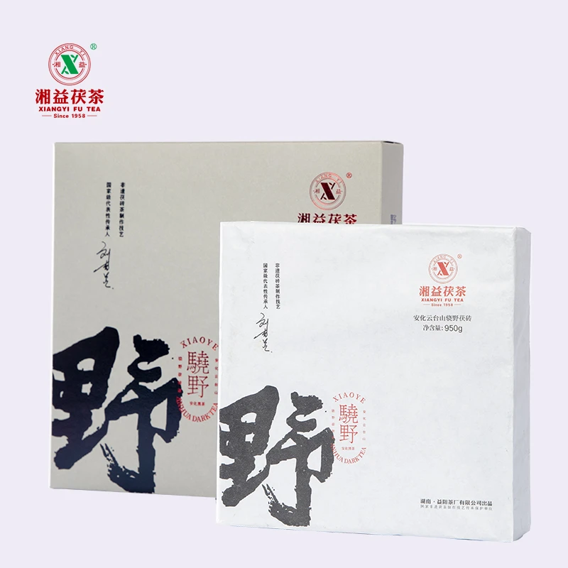 XIANG YI/湘益骁野丨云台山大叶荒野纯料茯茶 950g