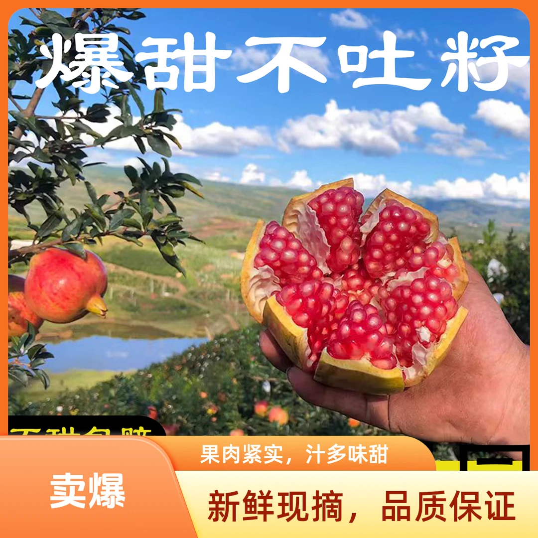 正宗云南宾川饱满新鲜石榴皮薄采摘产地多汁软籽石榴突尼斯石榴