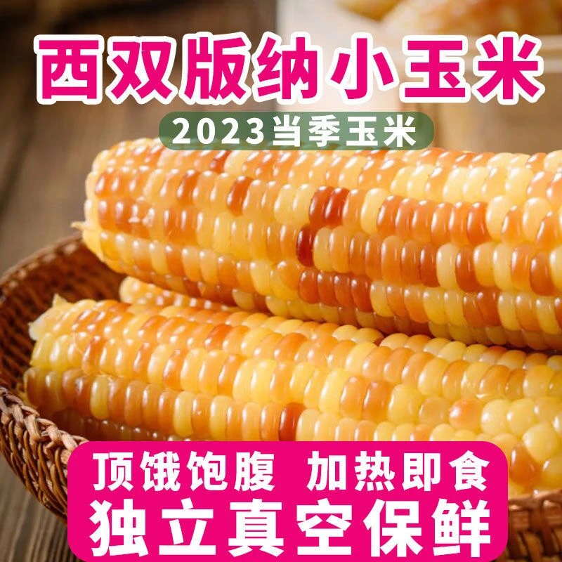 【整箱】云南西双版纳香糯小花糯玉米包谷棒低脂真空袋装非转基因