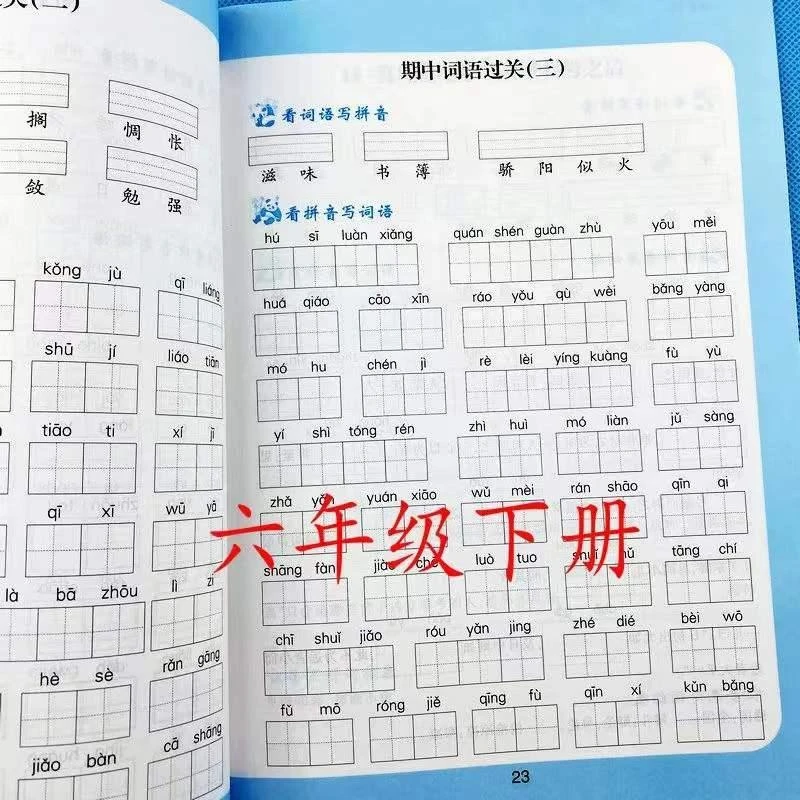 人教版六年级下册看拼音写词语生字注音语文课本教材同步专项训练