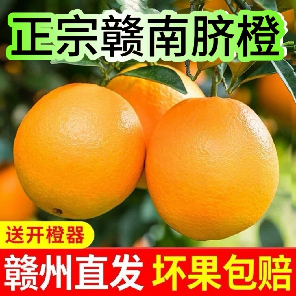 江西正宗赣南脐橙原产地现摘现发新鲜脐橙皮薄多汁香甜赣南橙子