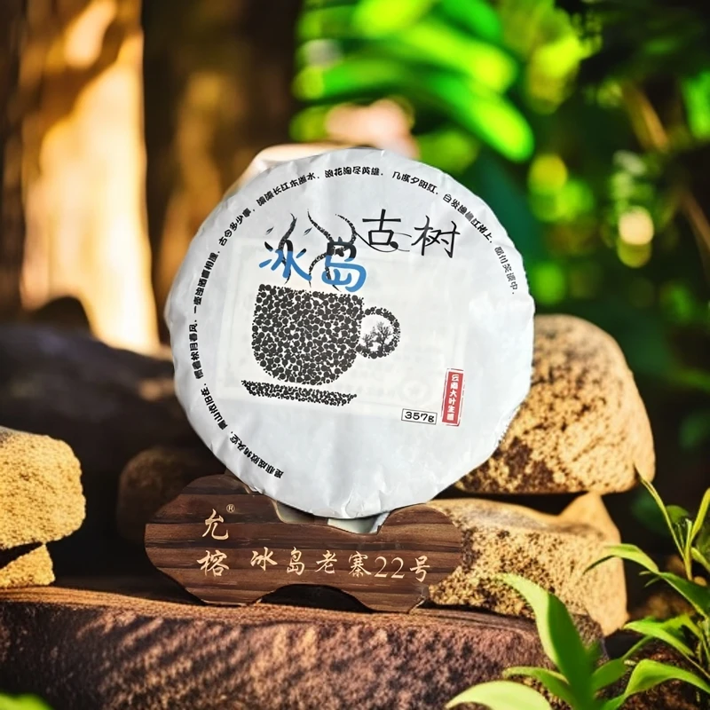 冰岛老寨 2023年 头春普洱 生茶  浓郁 高品质 357克