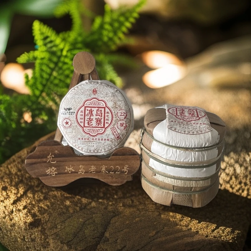 YUNRONG/允榕冰岛老寨 2024年 头春 浓郁 普洱茶生茶饼 100克