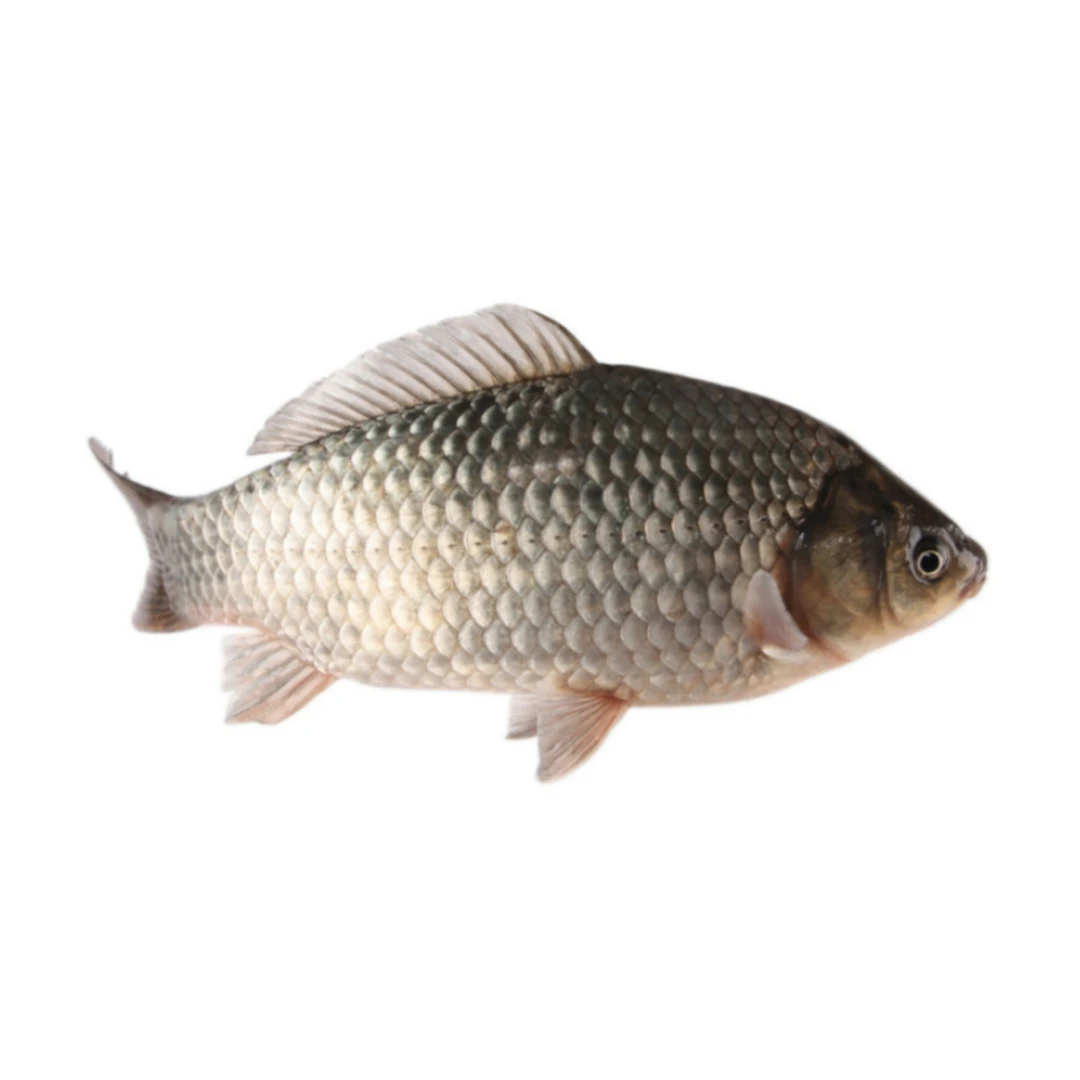 鲫鱼4条 750g(±50g）
