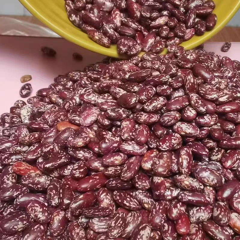 贵州特产四季豆花豆 农家花豆