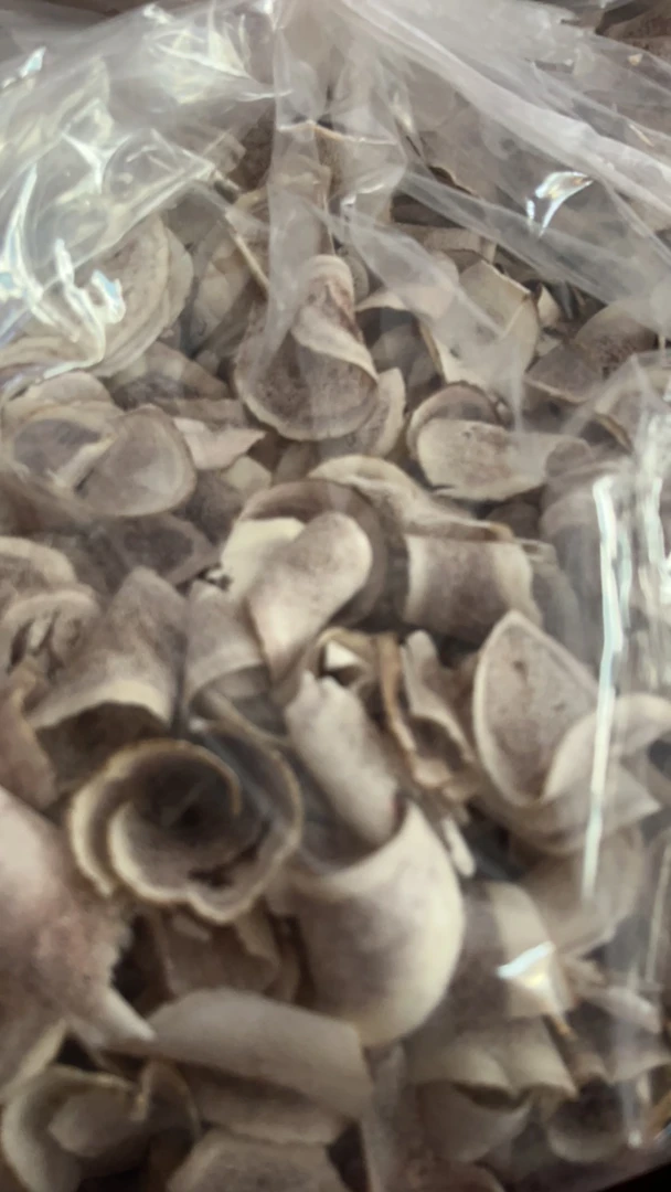 广东汕头荣荣鱼胶一斤