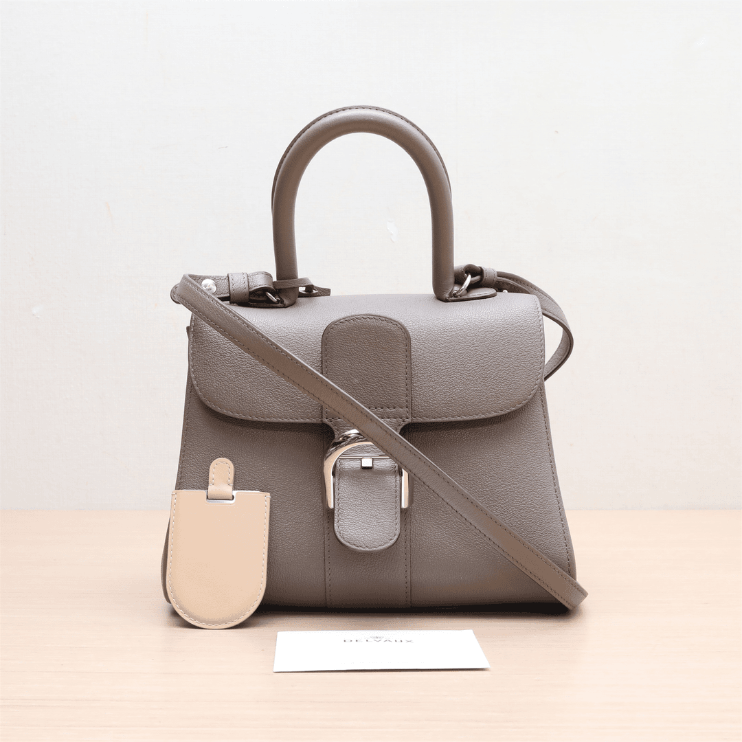 99新 Delvaux/德尔沃 小花攀攀Brillant PM 小号 24 灰色 皮革C包