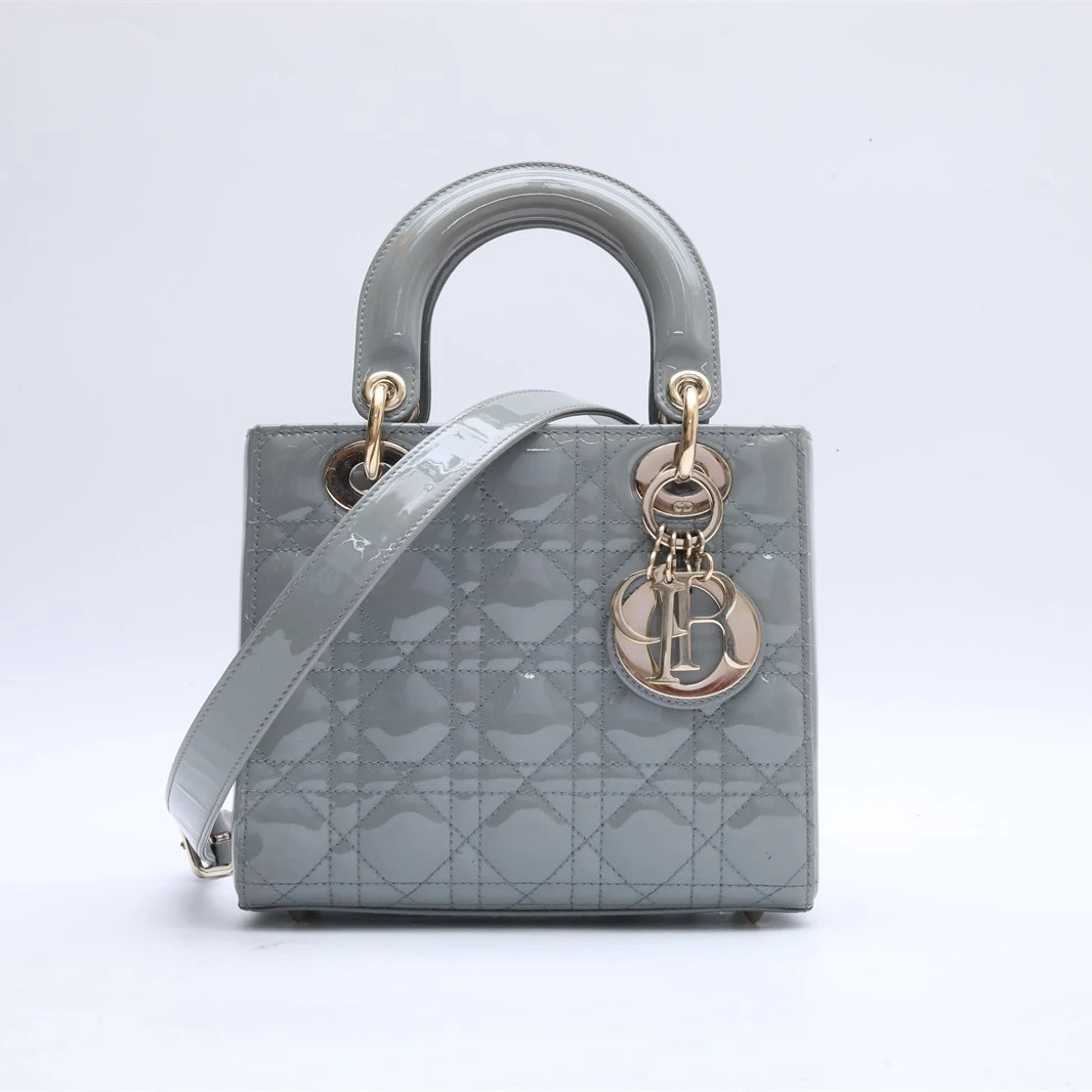 95新 DIOR/迪奥 小花攀攀戴妃包 四格 灰色 漆皮 金扣