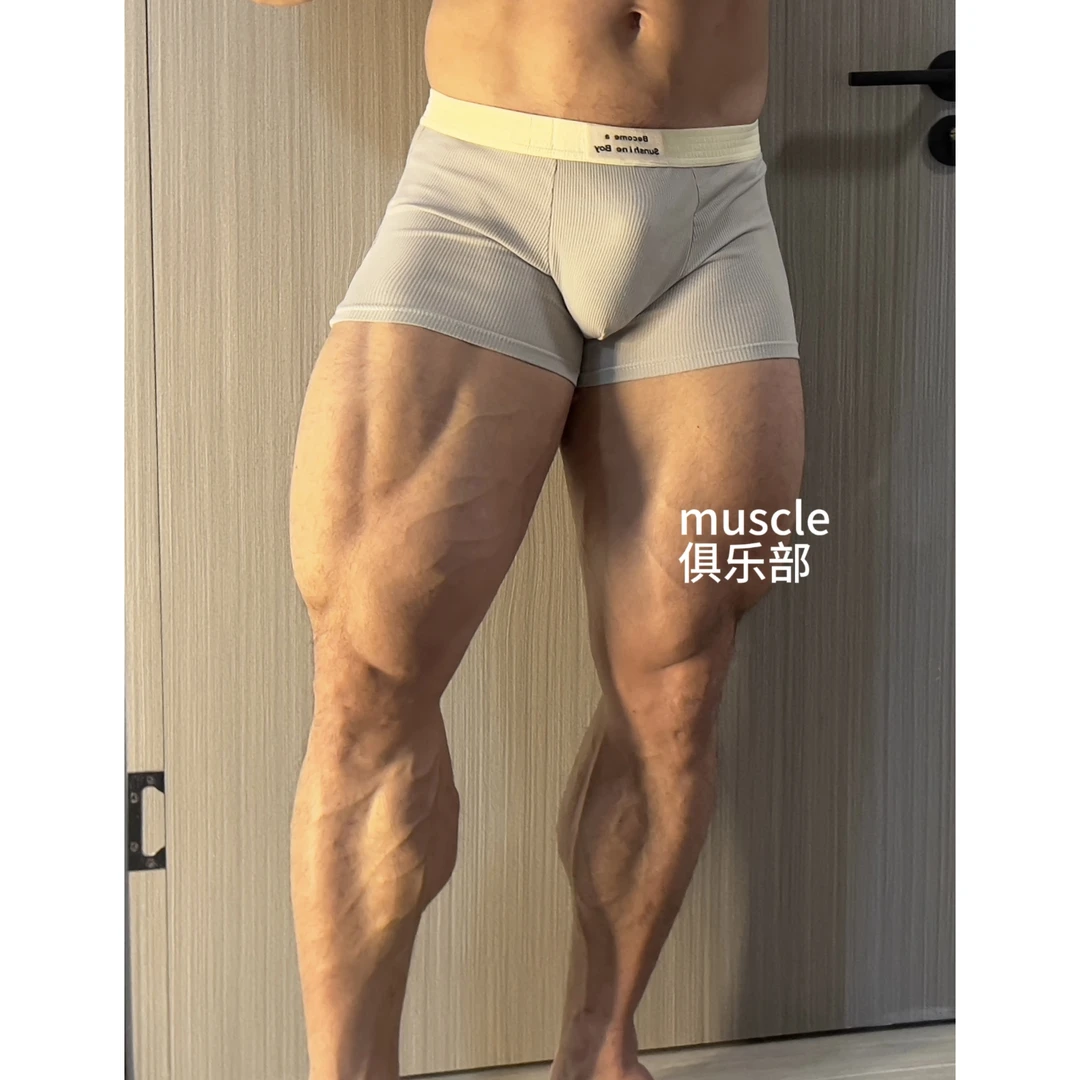 新款男士中棉质内裤四角平角内裤舒适透气