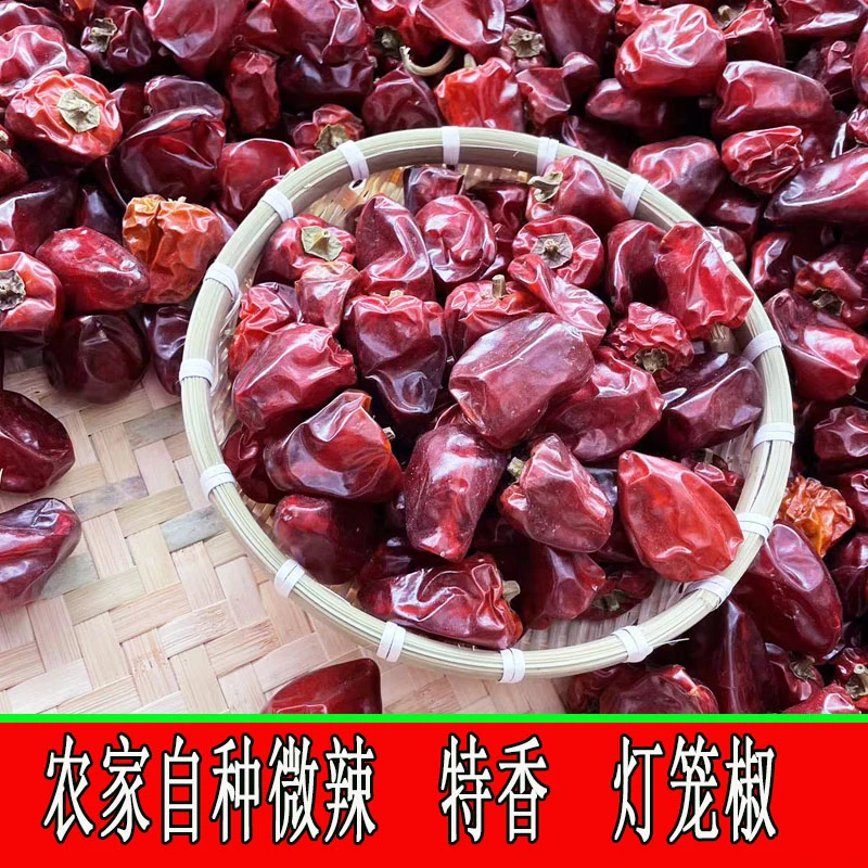 灯笼椒微辣特香农家自晒草莓椒七彩椒烹饪炒菜香辣味250g/500g