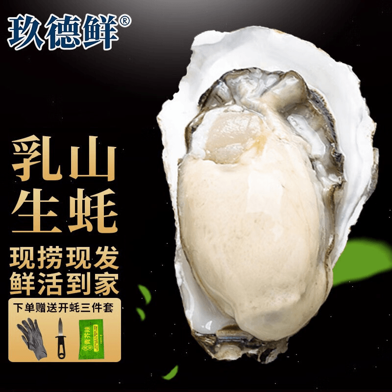 乳山生蚝试吃装 源产地直发包鲜活干净无泥沙包邮