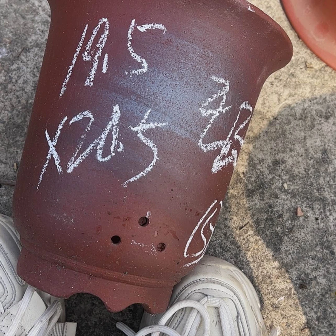 【闪购商品】紫砂花盆51