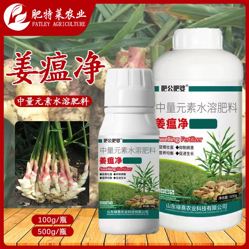 姜瘟净大姜生姜小黄姜专用叶枯黄叶干尖姜瘟清促根壮苗高产水溶肥