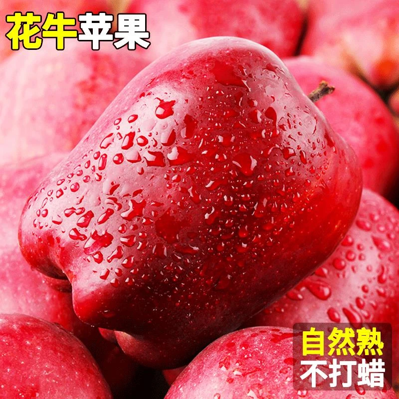 正宗天水花牛脆甜冰糖心蛇果婴儿孕妇辅食水果新鲜当季老人刮泥果