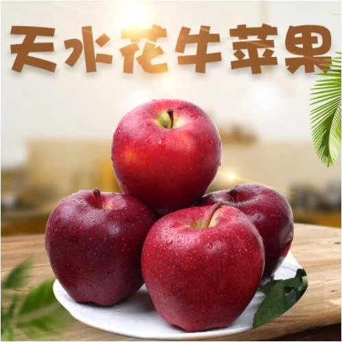 甘肃天水花牛苹果10/5/2.5斤新鲜红蛇果粉面刮泥水果果园产地直发
