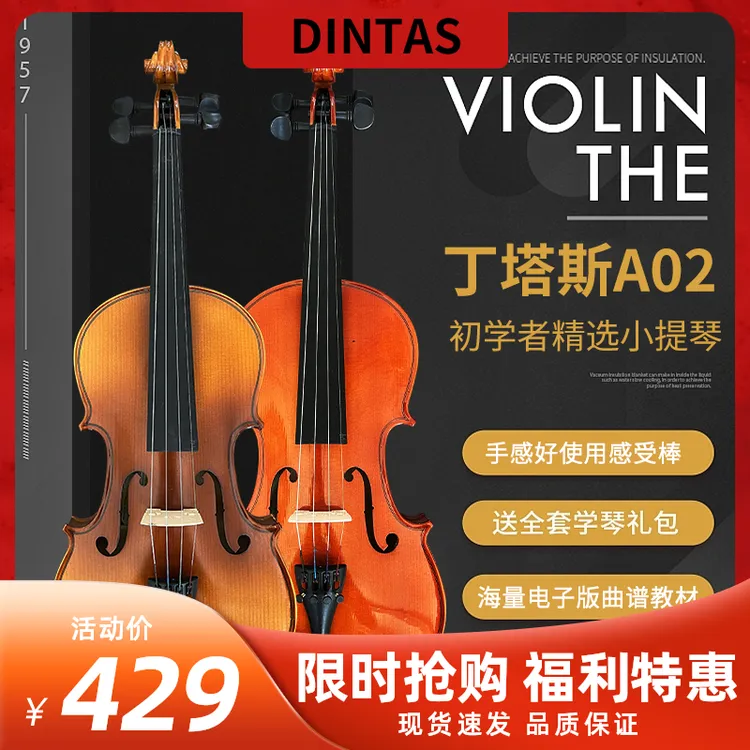 DINTAS/丁塔斯A02实木小提琴初学者入门儿童成人自学考级小提琴