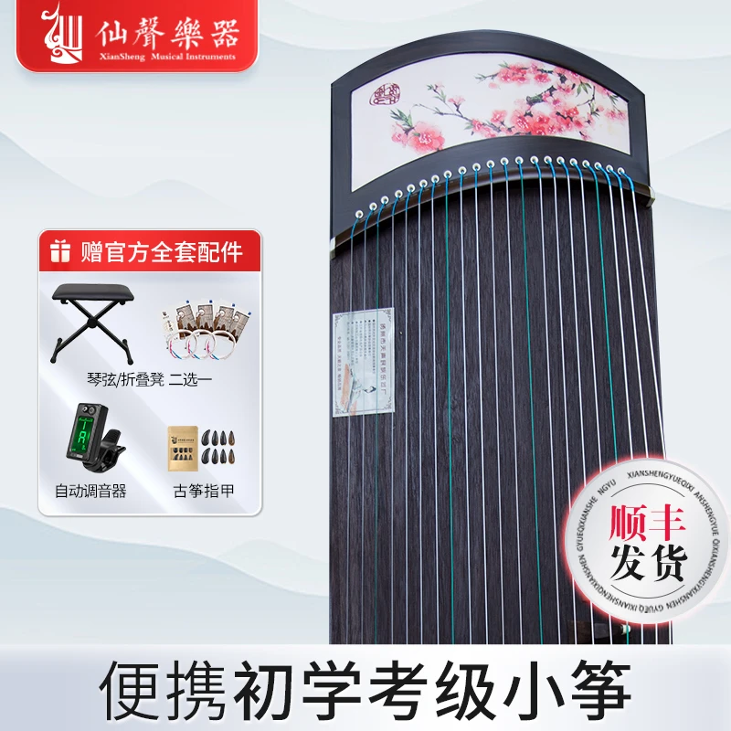 仙声双12便携式迷你初学者练习考级小古筝