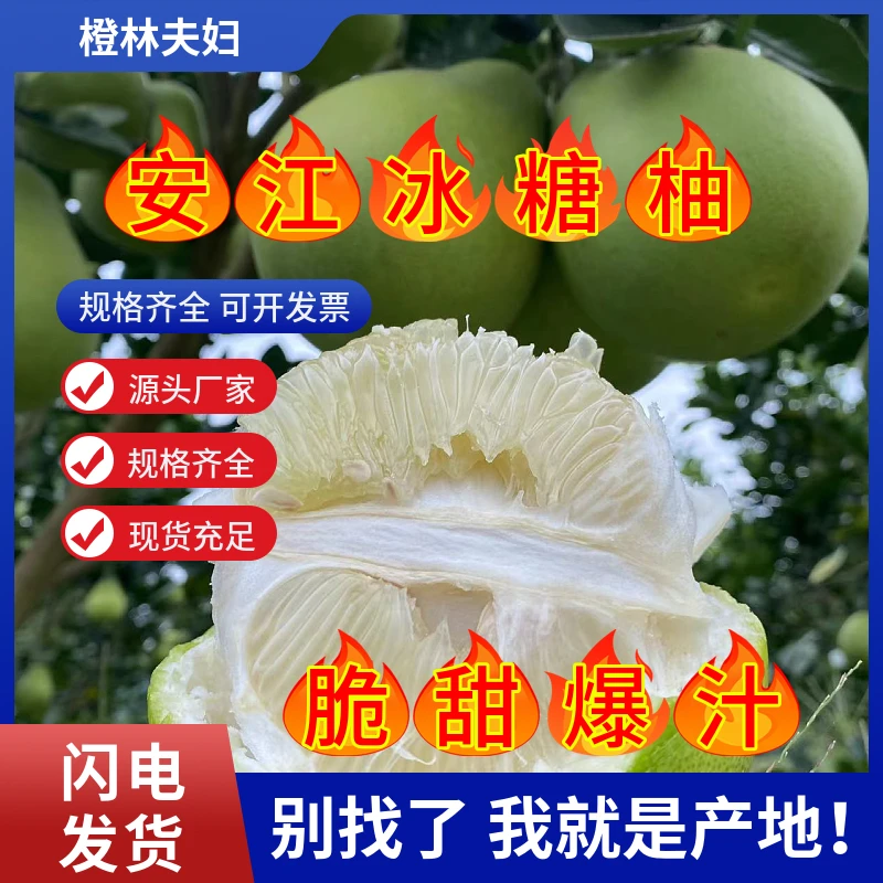 湖南安江雪峰老树冰糖柚怀化土柚小苦柚产地直发麻麻柚子微苦回甘