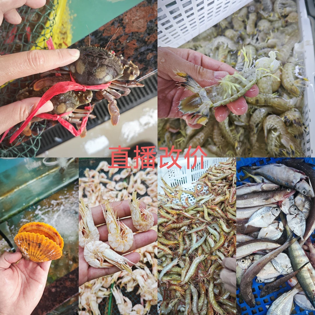 海鲜改价海鲜海虾螃蟹鳗鱼