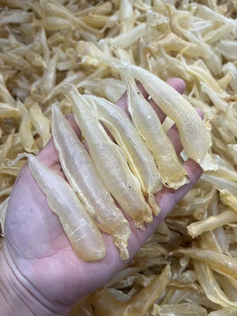 北海特产顶级天然野生金龙鱼胶干花胶鱼胶胶质浓郁特惠包邮到家