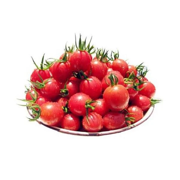 【赣农精选】圣女果500克