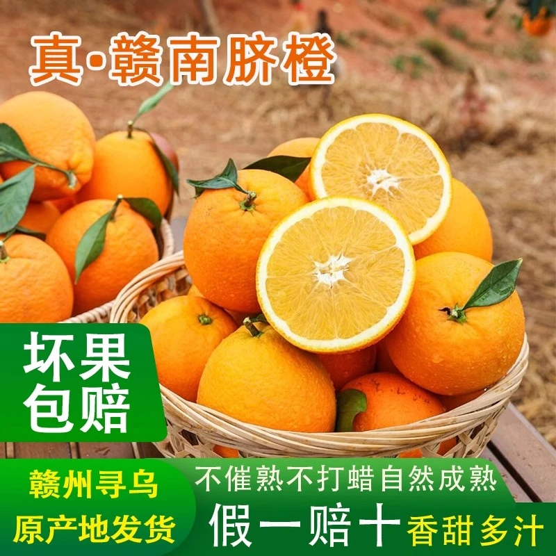 正宗江西赣南脐橙新鲜当季水果橙子整箱3/5/10斤大果产地直发包邮